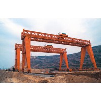 山東泰安起重機專業生產銷售—單梁門式起重機