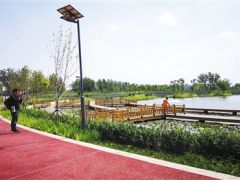 北京市大興區安南濕地環保主題公園十一開園